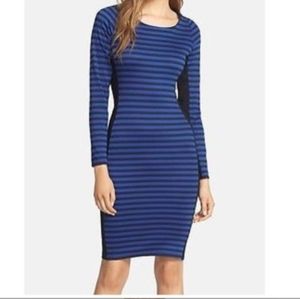Felicity & CoCo Black & Royal Blue stripe bodycon dress